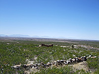 Frenchy homestead and walls