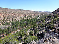 Frijolito Loop Trail