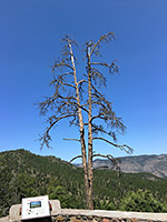 Roadside overlook