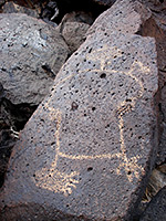 Large petroglyph