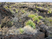 Valley of Fires Recreation Area