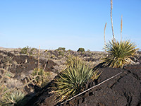 Valley of Fires Recreation Area