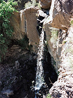 Falls Trail