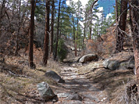 Lummis Canyon