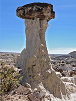 Isolated hoodoo