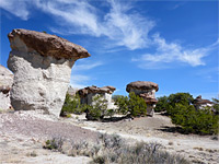 Hoodoos and bushes