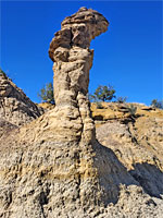 Pinnacle