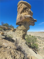 Head-like rock