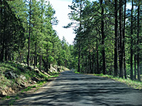 NM 15 to Gila Cliff Dwellings National Monument