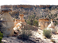 Hoodoo garden