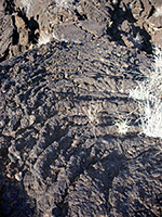 Pahoehoe lava