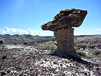 Petrified wood hoodoo