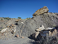 Petrified wood on a grey mound