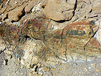 Petrified wood, partially buried