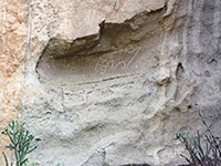 Animal petroglyph