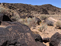 Bushes and boulders