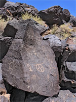 Varied petroglyphs