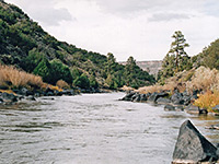 Rio Grande, near the confluence