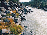 Rocks beside the Rio Grande