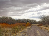 Gravel track