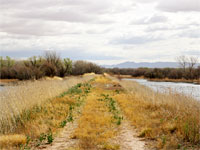 Disused track