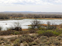 Wetlands