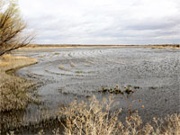 Shallow water