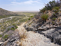 Slaughter Canyon Cave Trail