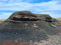 Coal