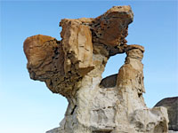 Bird-like formation