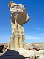 Head-like structure