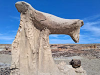 Animal-like formation