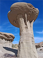 Delicate supporting pedestal
