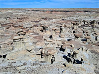 The view north