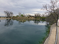 Waterfowl pond