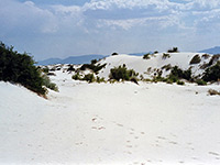 Path through the dunes