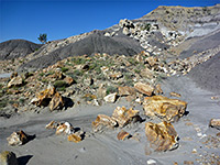 Petrified wood pieces