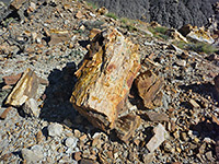 Petrified tree trunk