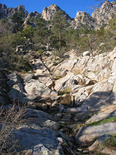 Stream in the Organ Mountains