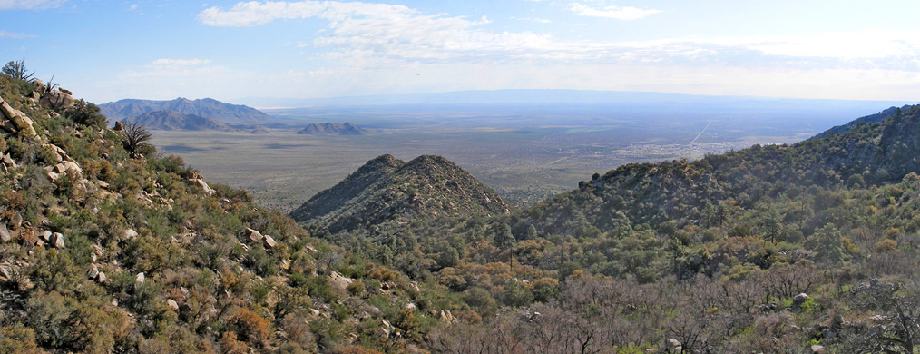 Pine Tree Trail - view northeast