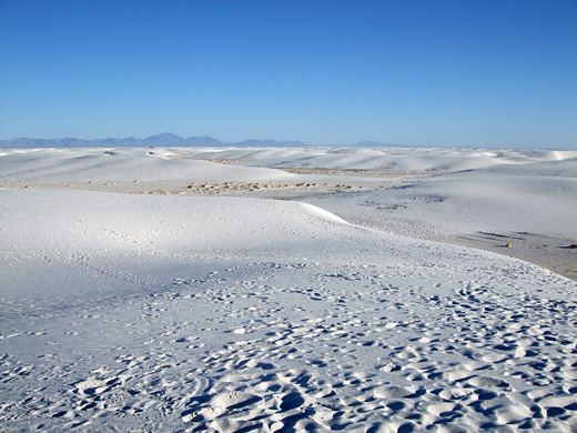 Footprints on the dunes