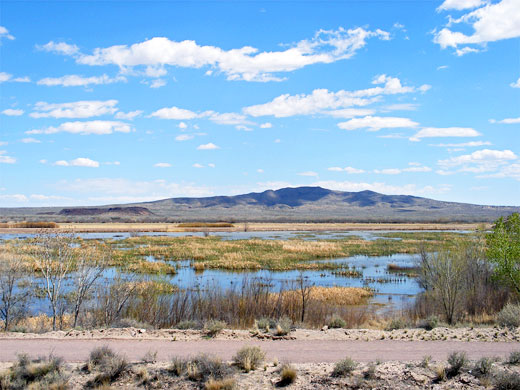 Bosque del Apache National Wildlife Refuge