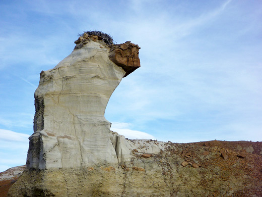 Thick hoodoo