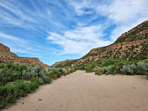 Wide streambed