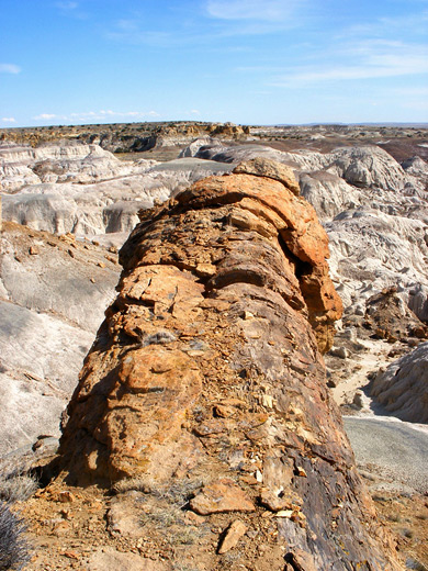 Petrified tree trunk