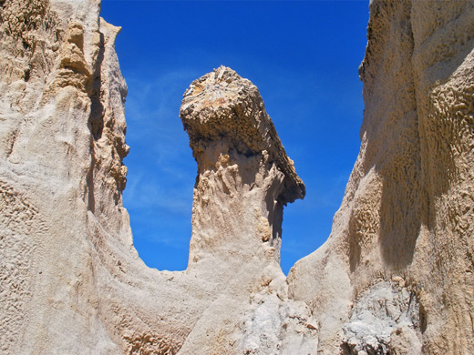 Petrified log hoodoo