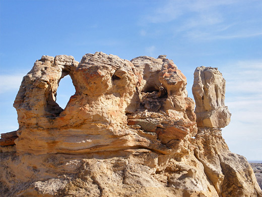 Arch and petrified wood