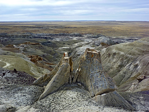 Petrified stump