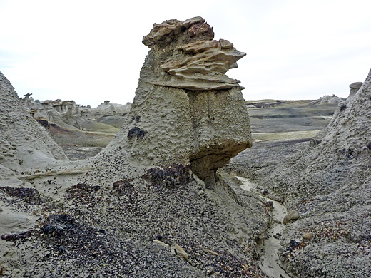 Hoodoo, wash and badlands