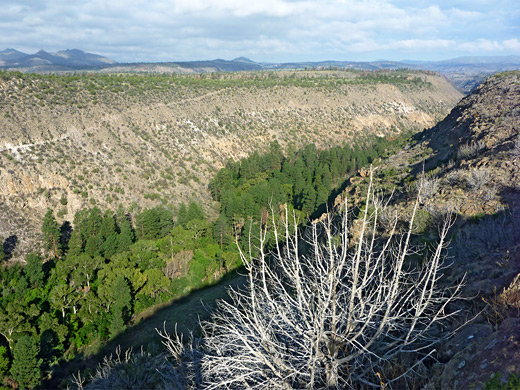 Frijoles Canyon - view west